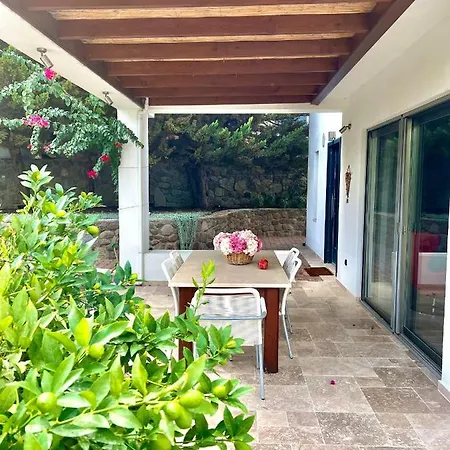 Cute Home, Modern 2 1 Stand Alone House With Garden, Near The Dom wakacyjny